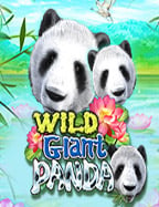 sbobet ฟรี 100 กับการเล่นสล็อตที่ไม่เหมือนใคร